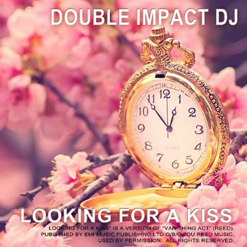 doubl-impact-cover