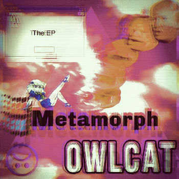 owlcat-cover