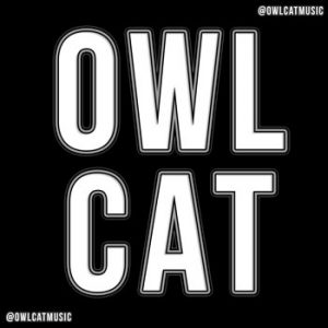 owlcat-logo