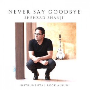 Never Say Goodbye - album cover