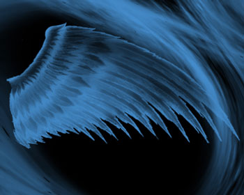 blue phoenix meaning
