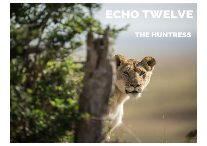Echo Twelve: “The Huntress” ft. Eileen Jaime offers a melody and a vocal as infectious as the song’s name implies