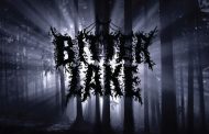 Bitter Lake: “Frozen Landscapes”  swirls with dark atmosphere and thickly layered riff construction
