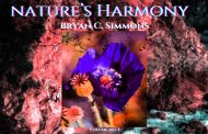 Bryan C. Simmons – “Nature’s Harmony Vol. 1” – an audible piece of mesmerizing art!