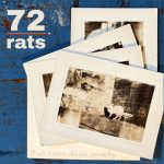72 Rats Find Liberation in Impermanence on ‘it all burns down someday’
